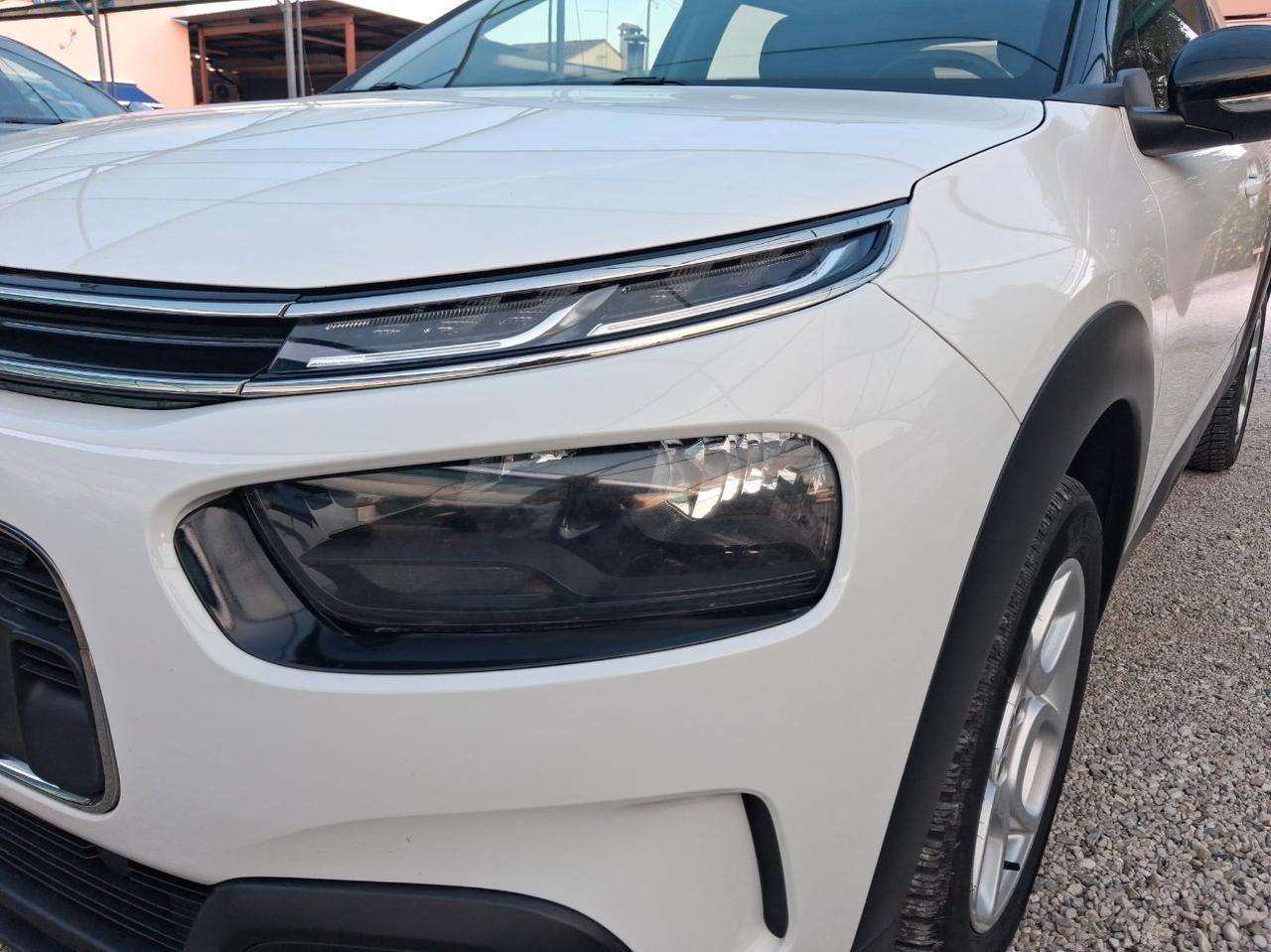 Citroen C4 Cactus 1.5 bluehdi Live s&s 100cv