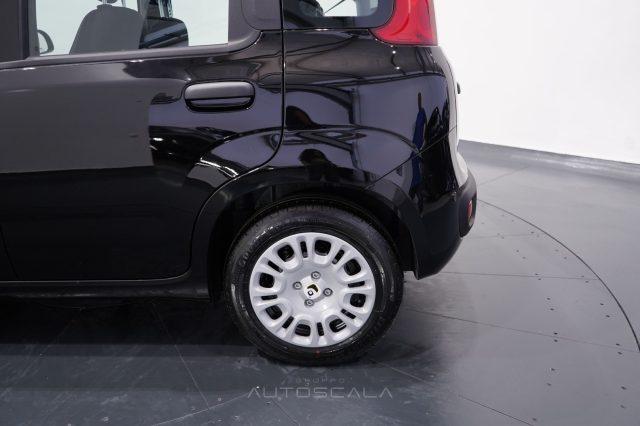 FIAT New Panda My25 1.0 FireFly S&S Hybrid #Pack City #5posto
