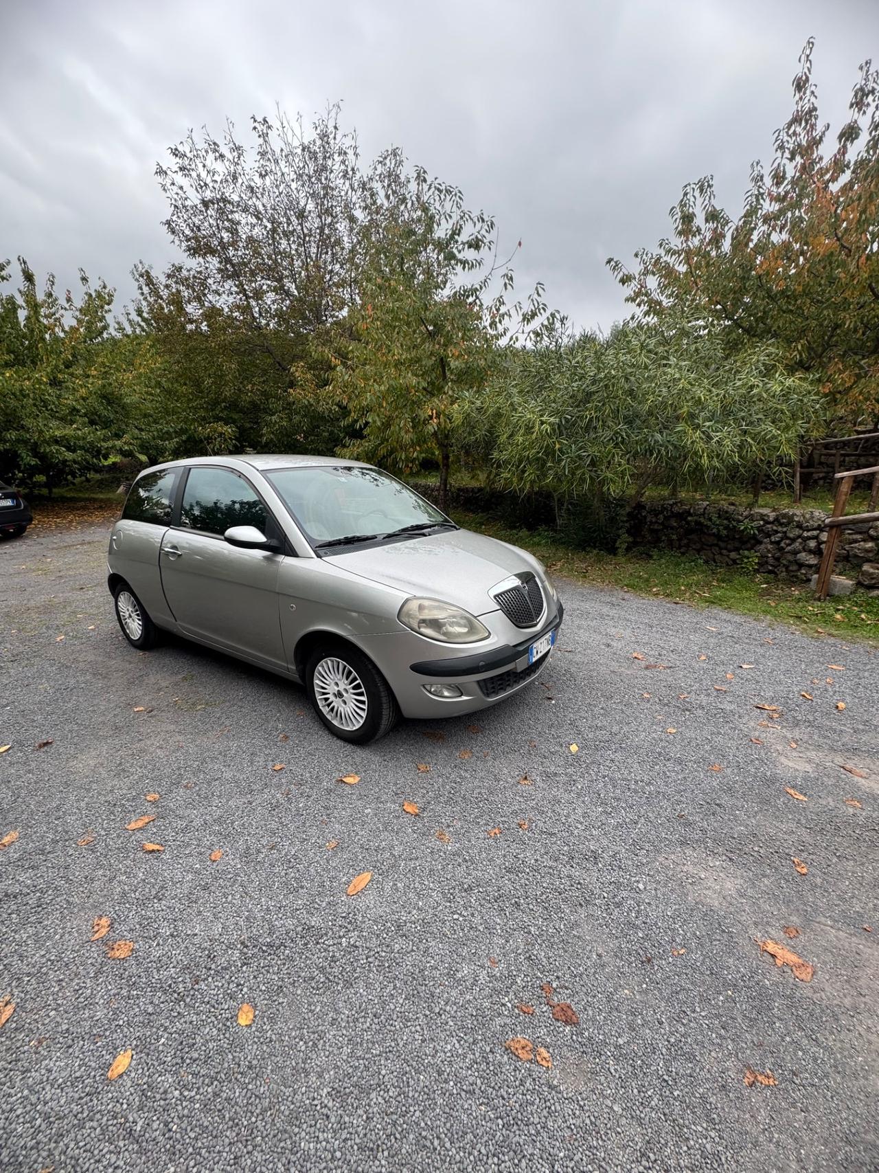 Lancia Ypsilon 1.3 Multijet 16V Platino