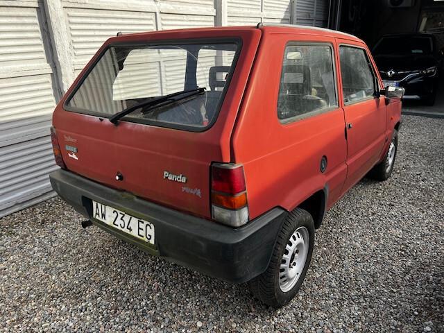 Fiat Panda 900 i.e. cat Young