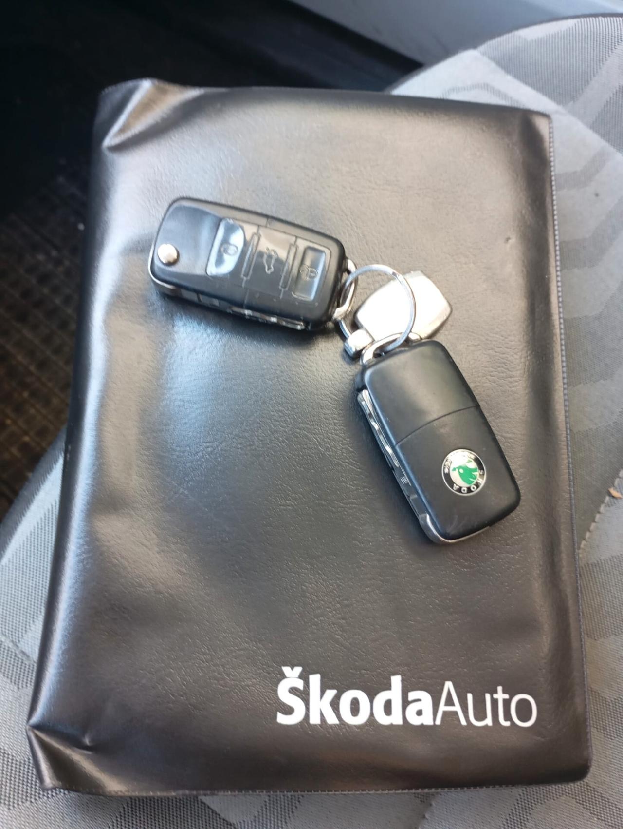 Skoda Fabia 1.2 70CV 5p. Style-2008