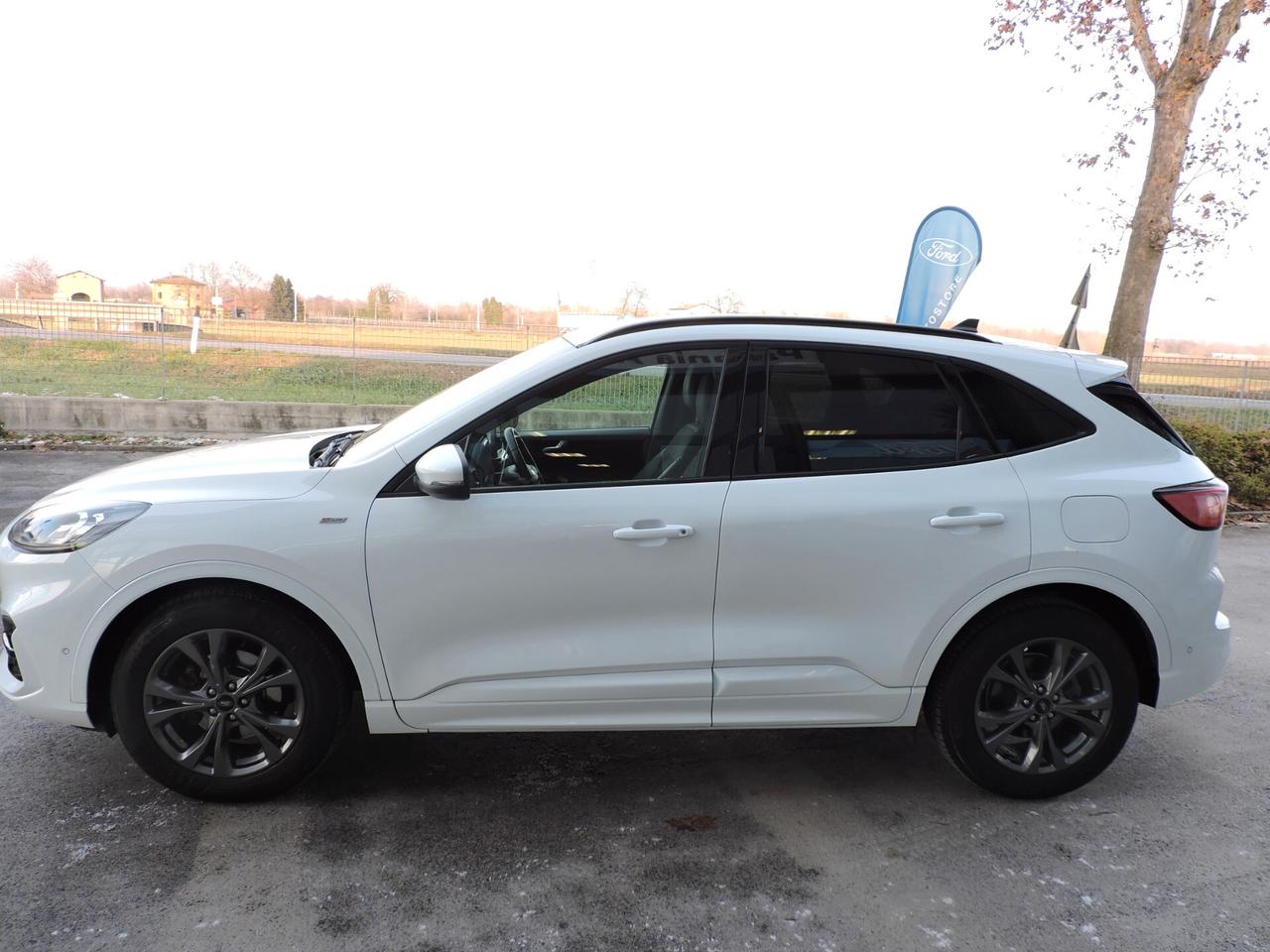 Ford Kuga 2.0 EcoBlue Hybrid 150 CV 2WD ST-Line X
