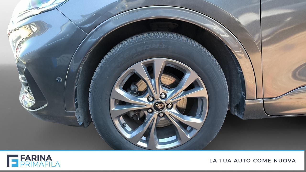 FORD Kuga III 2020 - Kuga 1.5 ecoblue ST-Line X 2wd 120cv auto