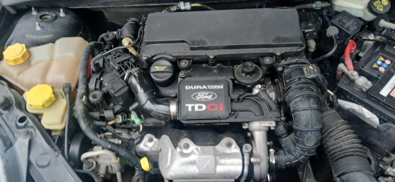Neopatentati diesel Ford Fiesta