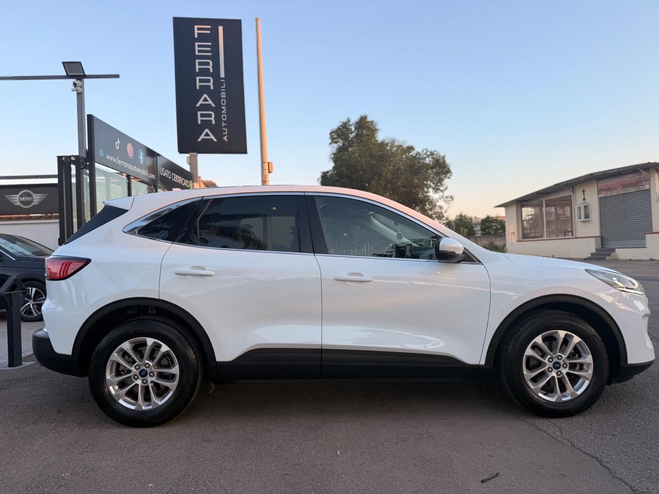 Ford Kuga 1.5 EcoBlue 120 CV 2WD Titanium