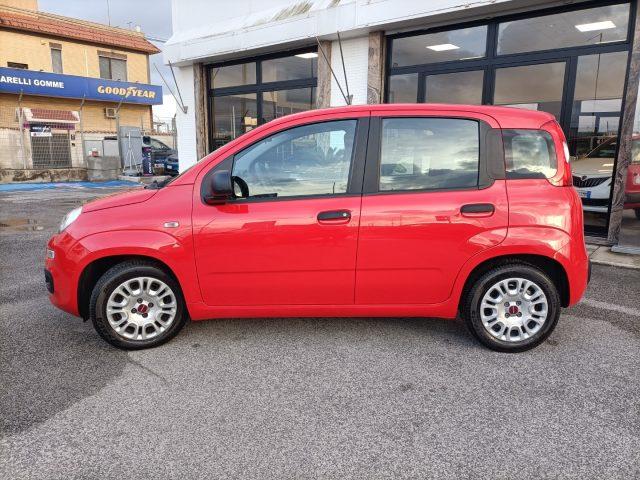 FIAT Panda 1.0 Hybrid PREZZO REALE, 178 EURO AL MESE