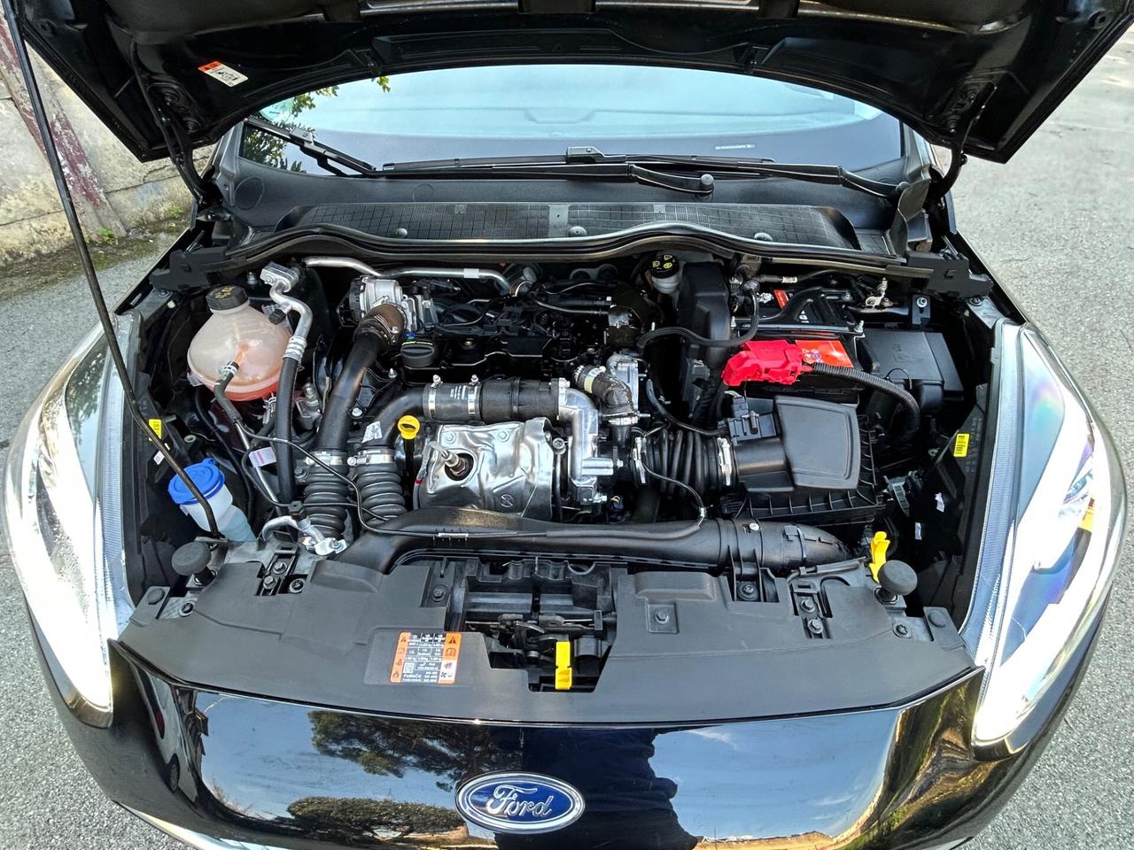 Ford Fiesta 1.5 EcoBlue 5 porte Vignale