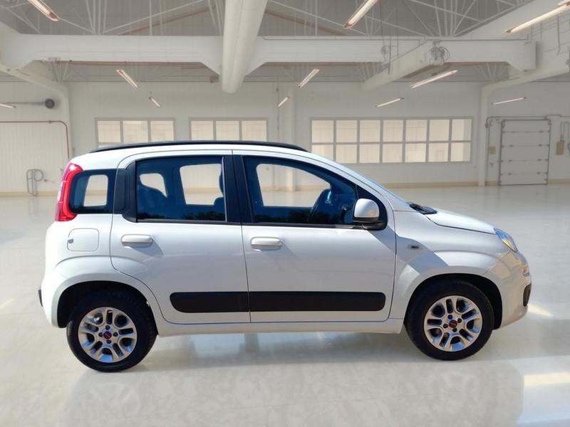 FIAT PANDA 1.2 69cv S/S E6d-Temp Lounge 5 PORTE