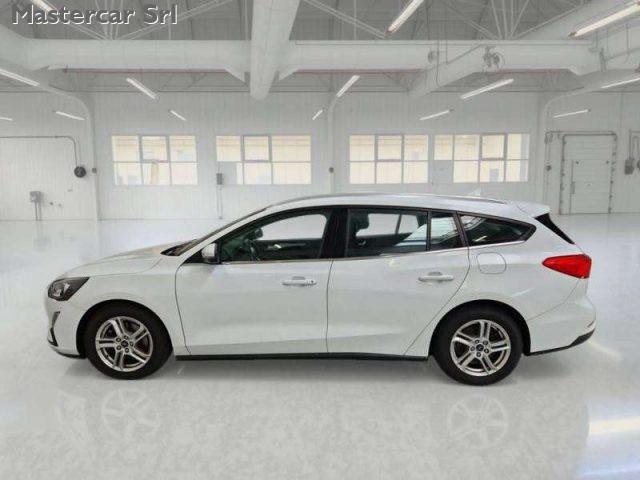 FORD Focus Focus 1.5 ecoblue 120cv Business Co-pilot sw - GB2