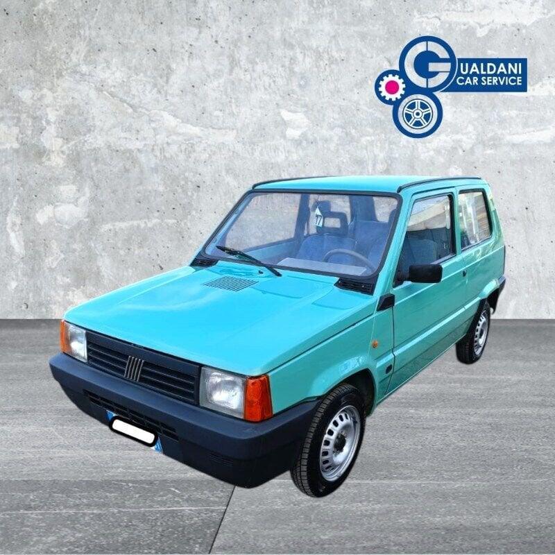 FIAT Panda 1100 i.e. cat Young