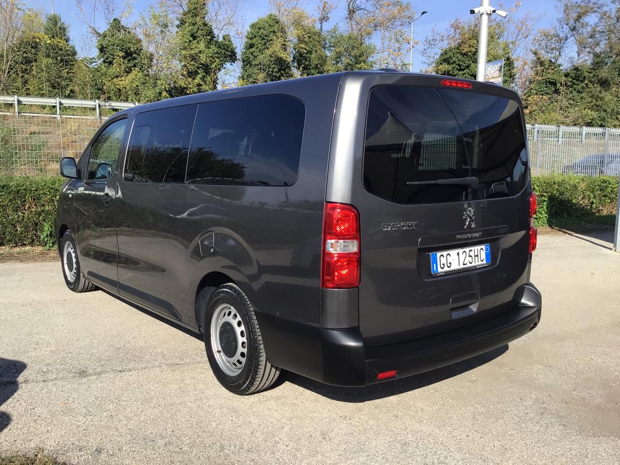 Peugeot Expert BlueHDi 120 S&S PL-SL-TN Combi Long