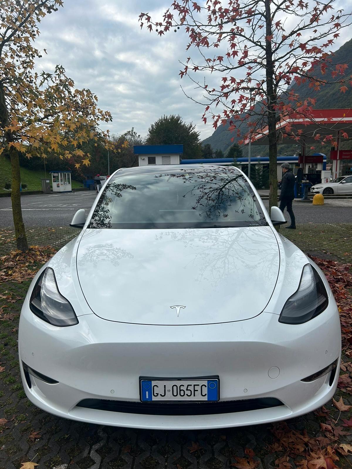 Tesla Model Y Model Y Long Range AWD