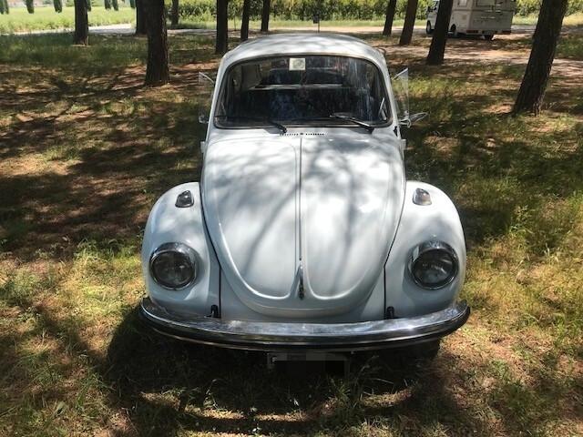 Volkswagen Maggiolino Maggiolone