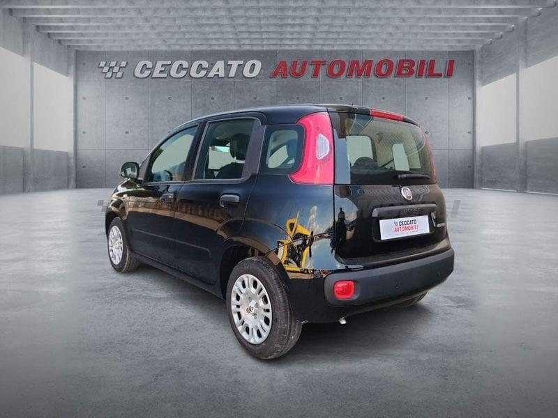 FIAT Panda Panda 1.0 firefly hybrid s&s 70cv 5p.ti