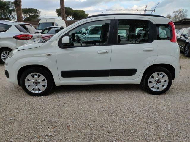 FIAT Panda New 1.2 Lounge CLIMA OK NEOPATENTATI