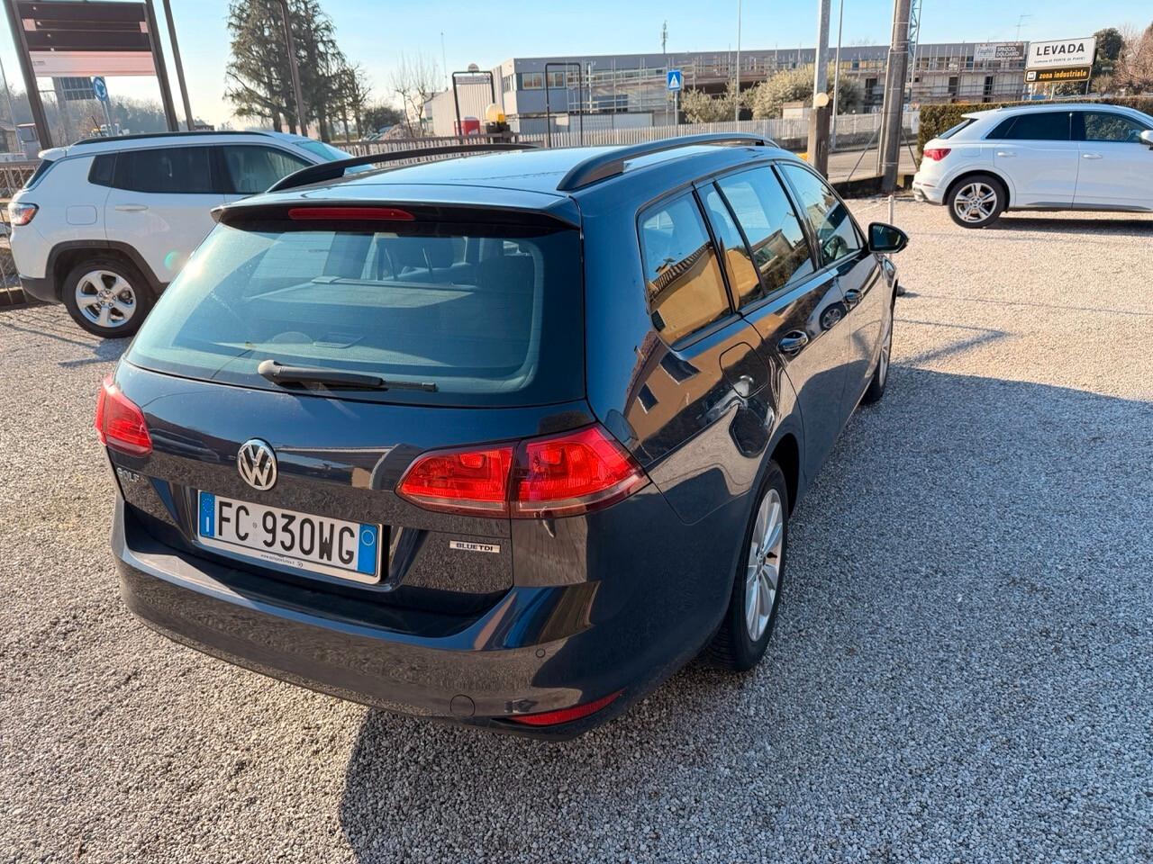 Volkswagen Golf Variant 1.6 tdi Business 110cv