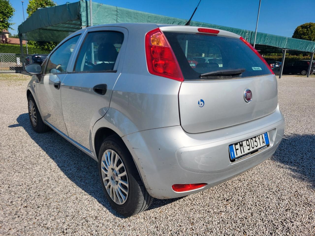 Fiat Punto 1.2 8V 5 porte Street