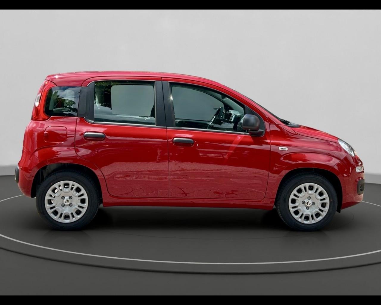 FIAT Panda My25 1.0 70cv Hybrid Panda