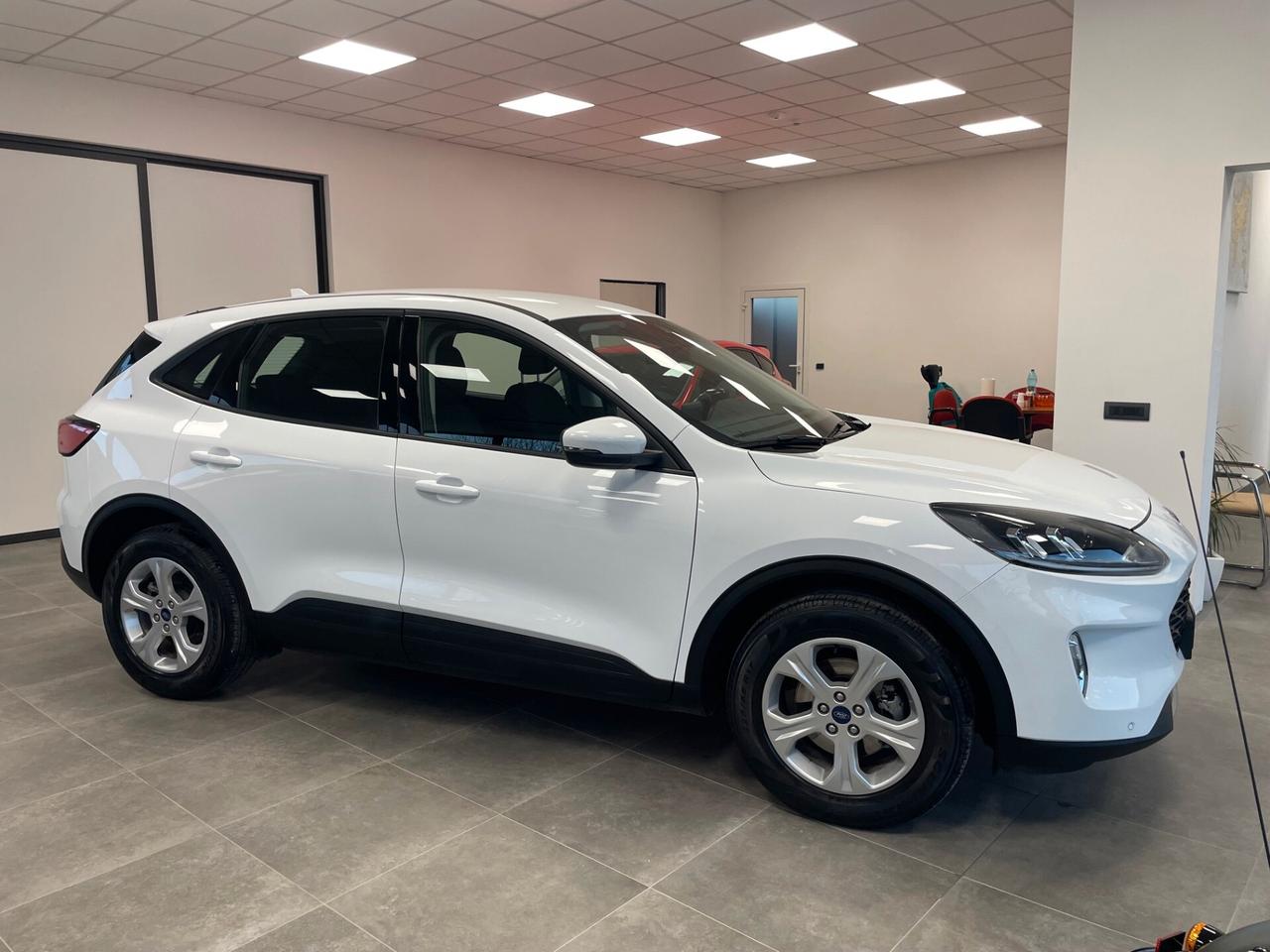 Ford Kuga 1.5 EcoBlue 120 CV 2WD Connect