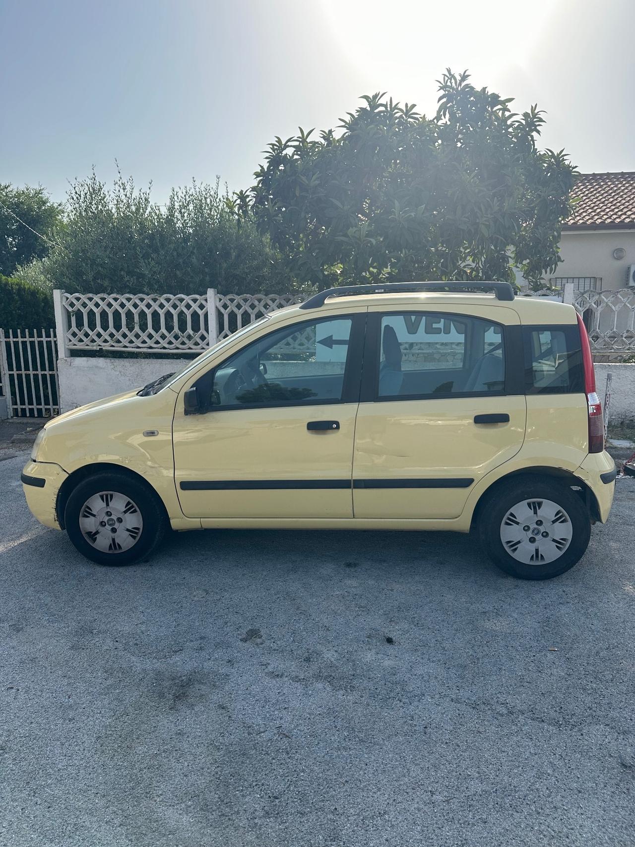 Fiat Panda 1.2 Alessi PRONTA CONSEGNA NEOPATENTATI