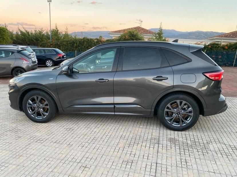 Ford Kuga 1.5 EcoBlue 120 CV 2WD ST-Line