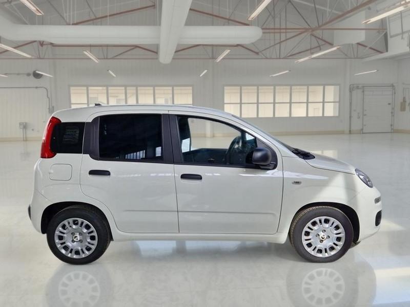 FIAT PANDINA 1.0 FIREFLY 65 CV SES 6M HYBRID ICON 5 PORTE BERLINA