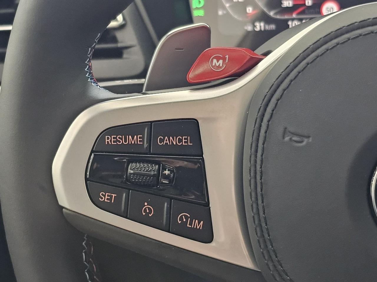 BMW X4 X4 M Competition xDrive Tetto Carbonio Laser
