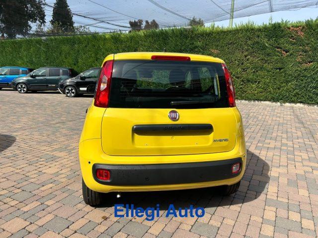 FIAT Pandina PROMO FINANZIAM 1.0 FireFly 65 CV Hybrid Pop KM 0