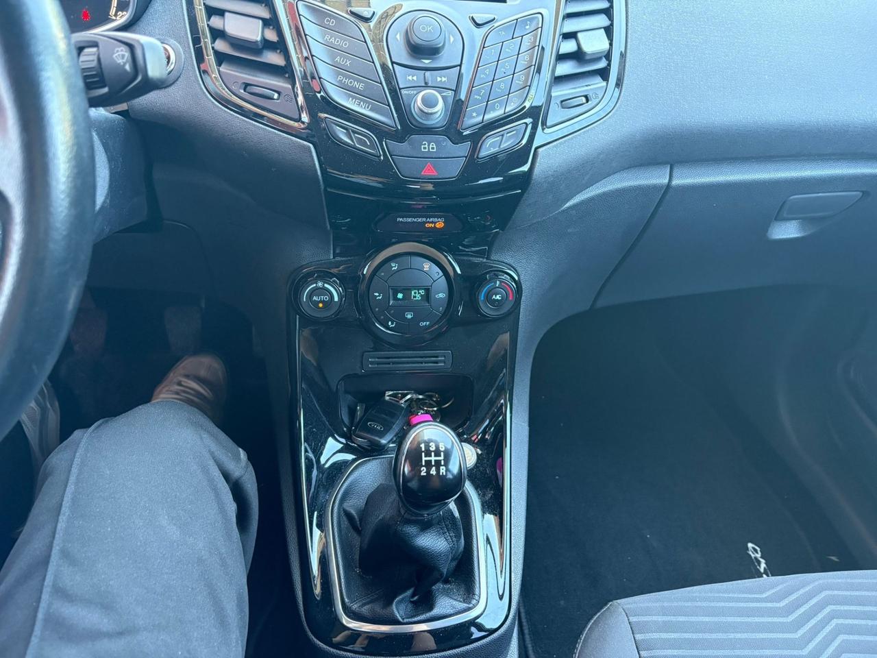 Ford Fiesta 1.5 TDCi 75CV 5 porte Titanium 2013