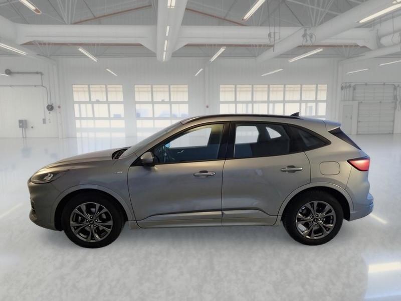 FORD KUGA 1.5 EcoBlue 120CV 2WD ST-Line Auto