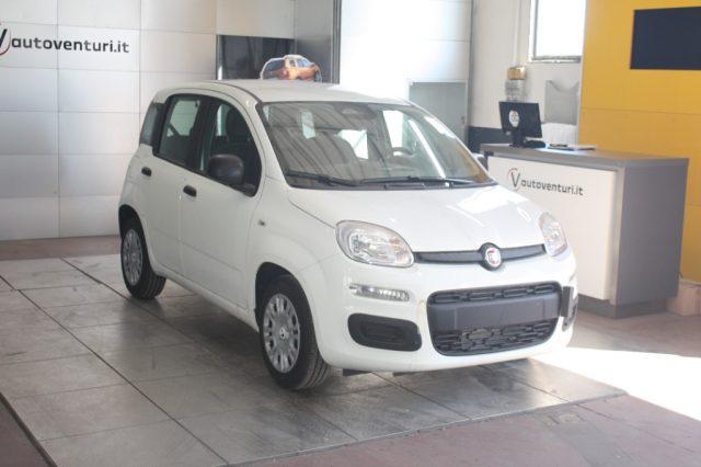 FIAT Panda 1000 HYBRID PANDA 70 CV 5 POSTI KM 0
