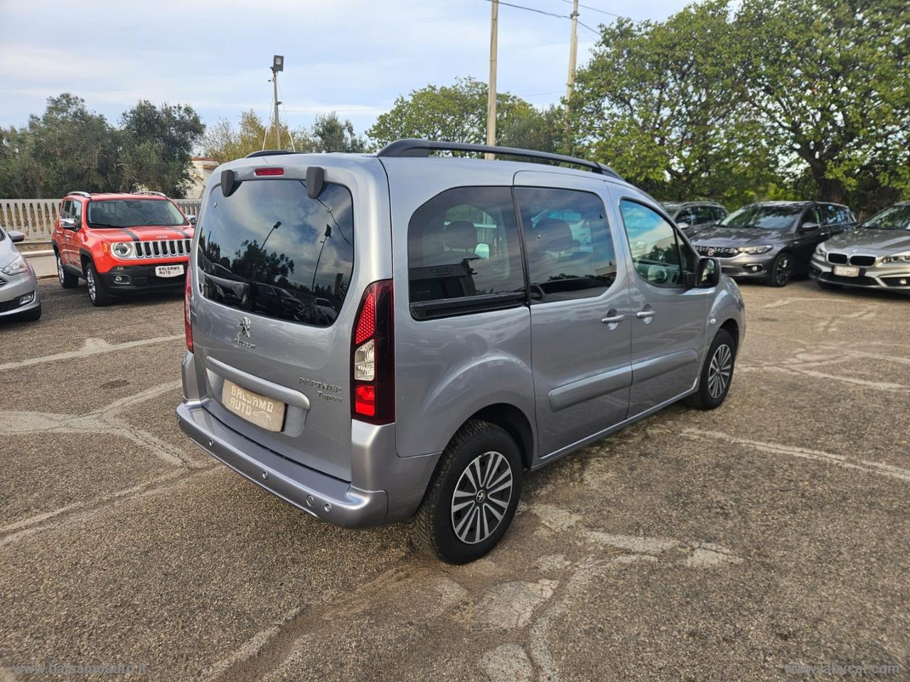 Partner Tepee BlueHDi 100 N1