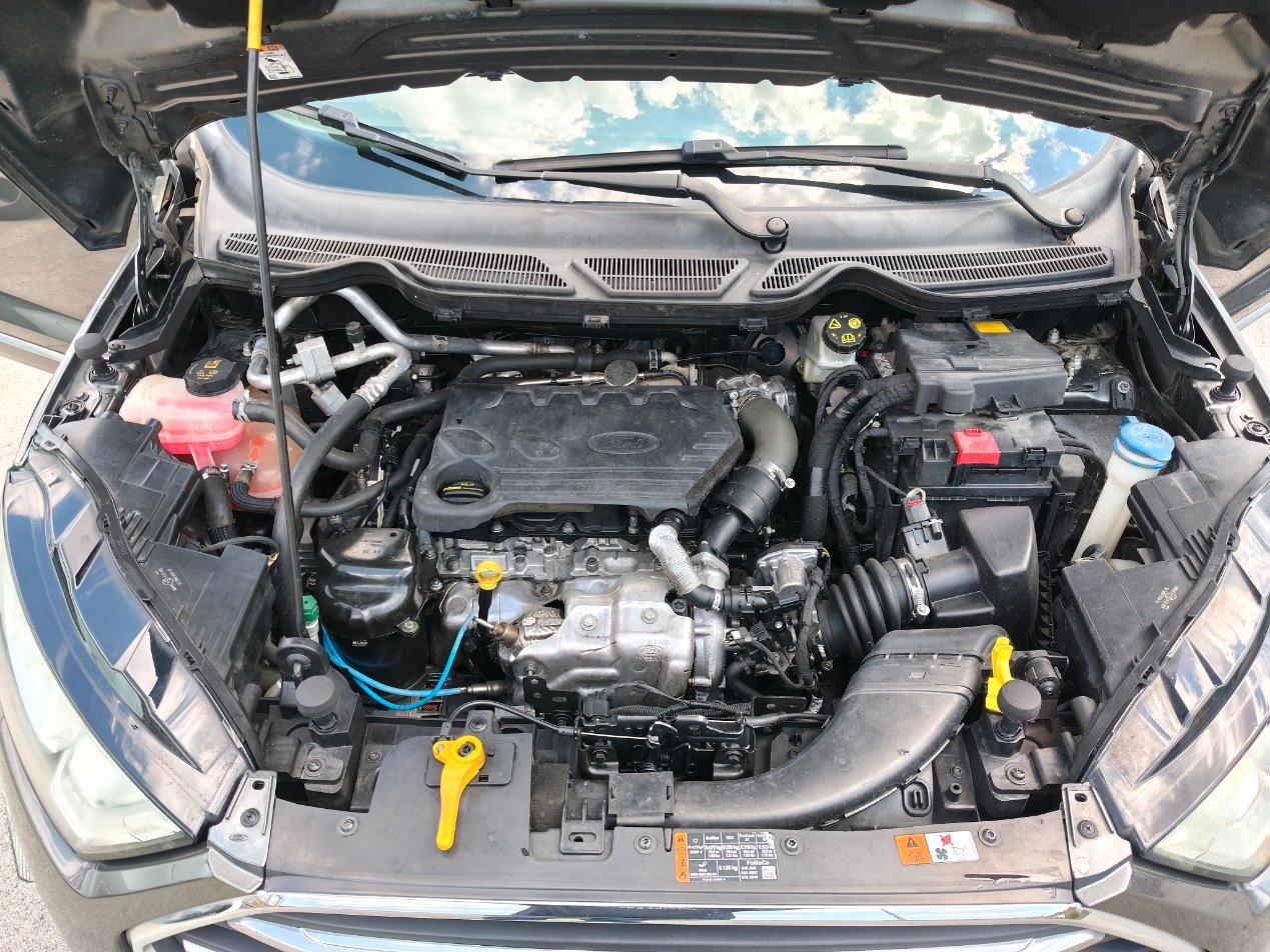 Ford EcoSport 1.5 tdci Plus awd s&s 125cv