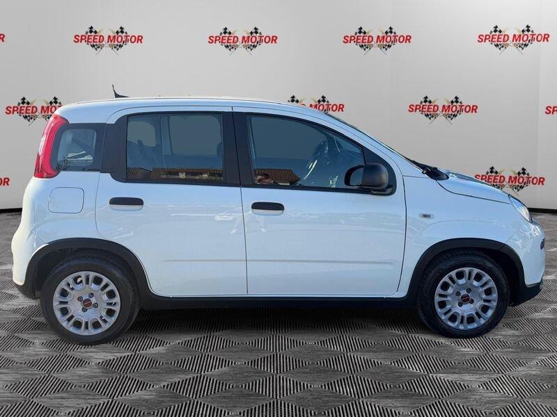 FIAT Panda Panda 1.0 firefly hybrid 70cv 5 POSTI, SENSORI!