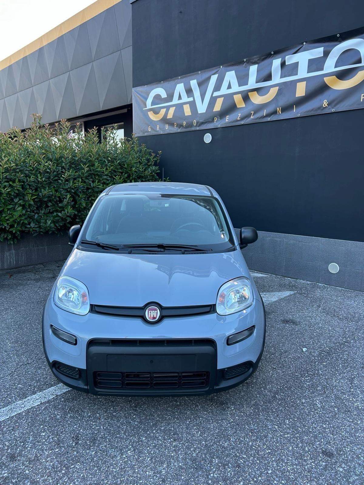 Fiat Panda Hybrid aziendale!