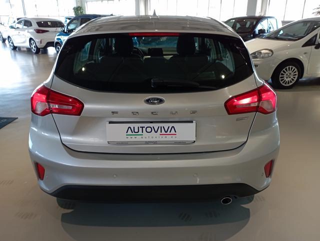 FORD Focus 1.5 EcoBlue 95 CV 5p. Plus
