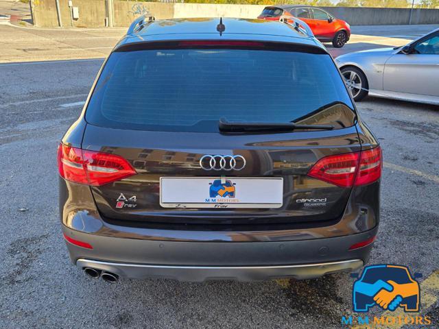 AUDI A4 allroad 2.0 TDI 177 CV Business