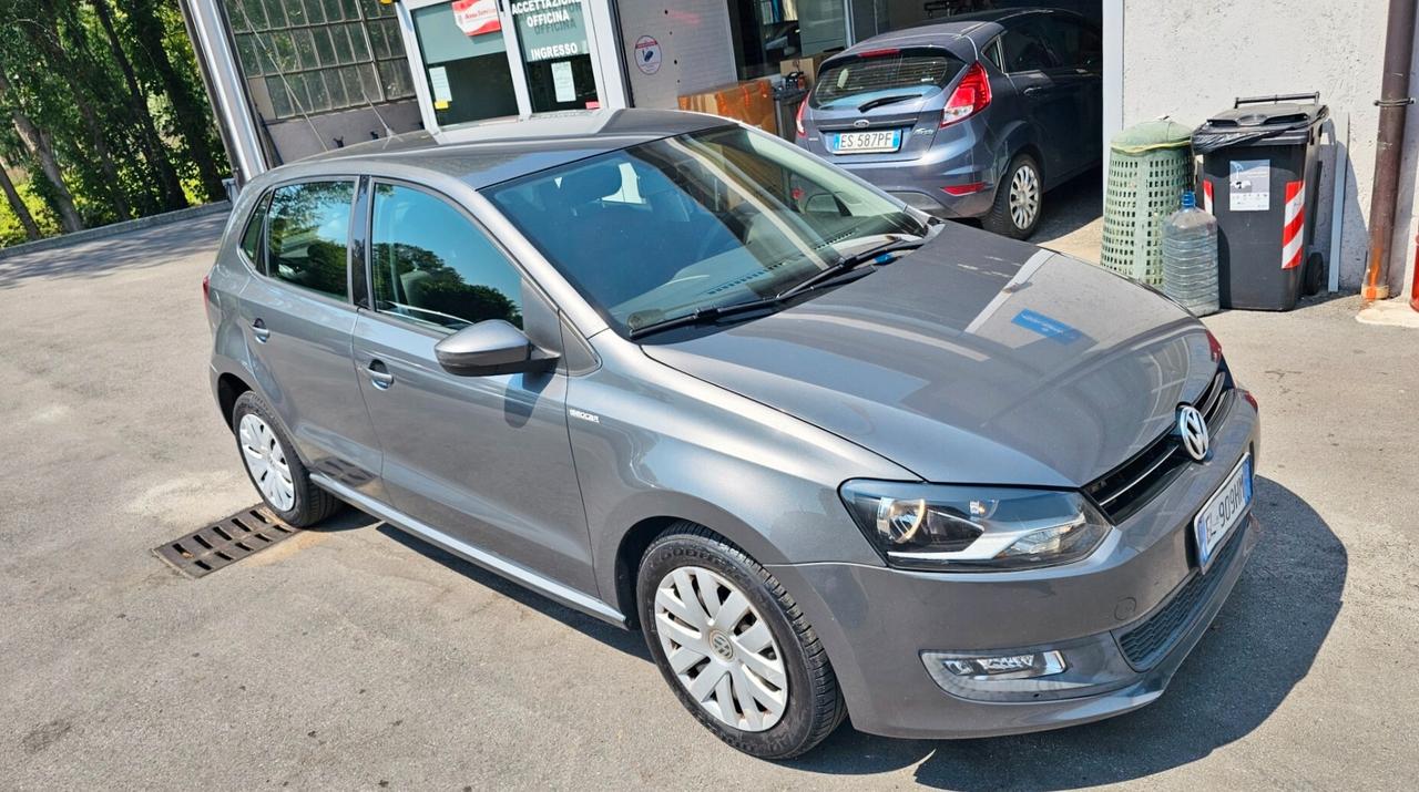 Volkswagen Polo 1.2 70 CV 5p. Comfortline --OK NEOPATENTATI--