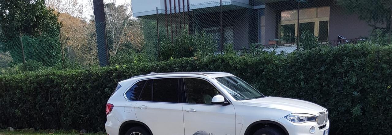 Bmw X5 sDrive25d Luxury Navi Pelle Tetto