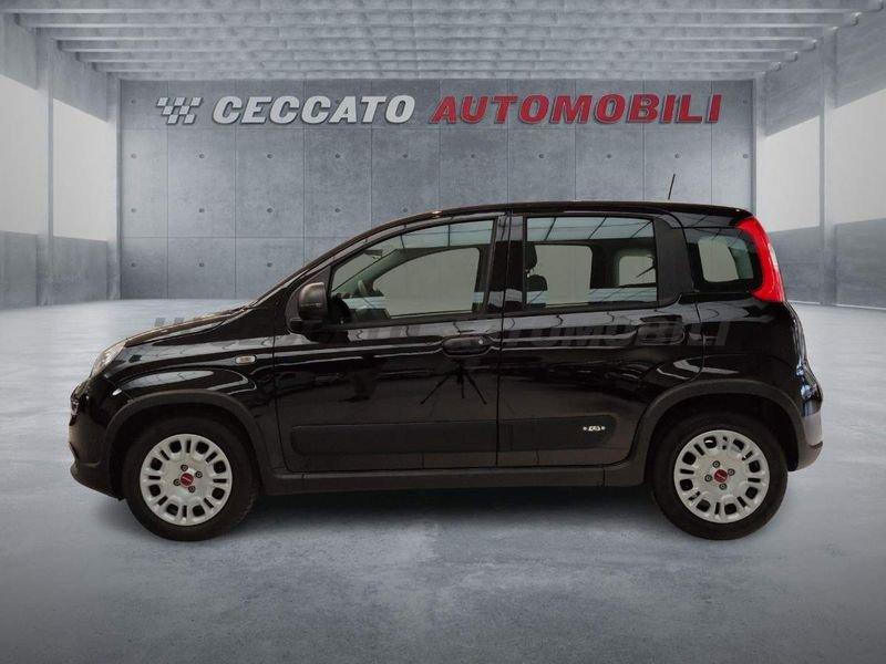FIAT Panda Panda 1.0 firefly hybrid s&s 70cv