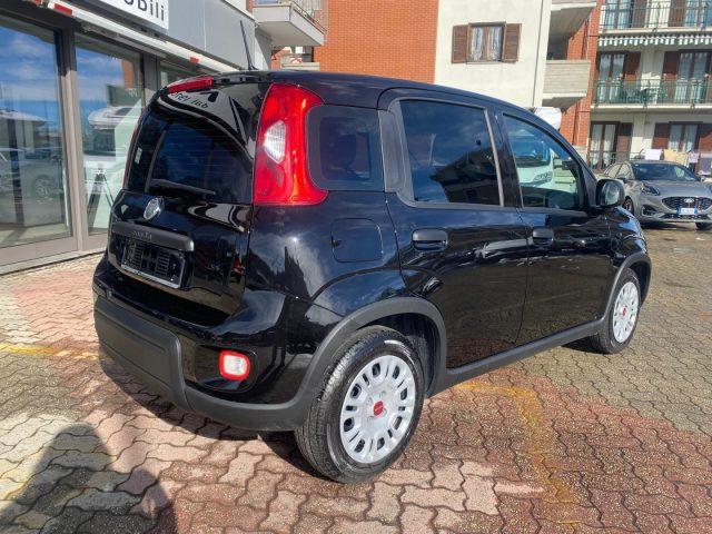 FIAT Panda 1.0 MILD- Hybrid VETRI OSCURATI