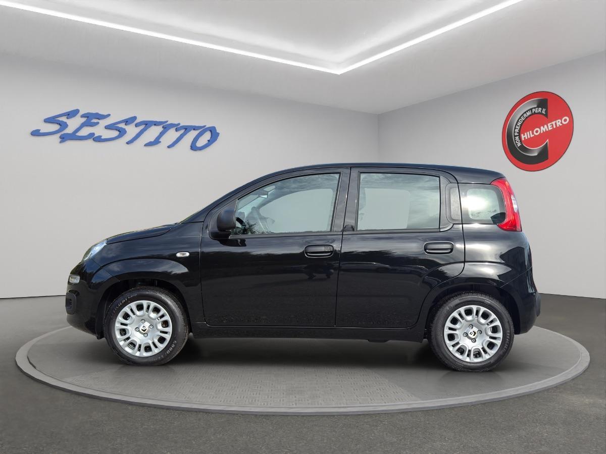 FIAT - Panda Pandina 1.0 firefly hybrid s&s 70cv