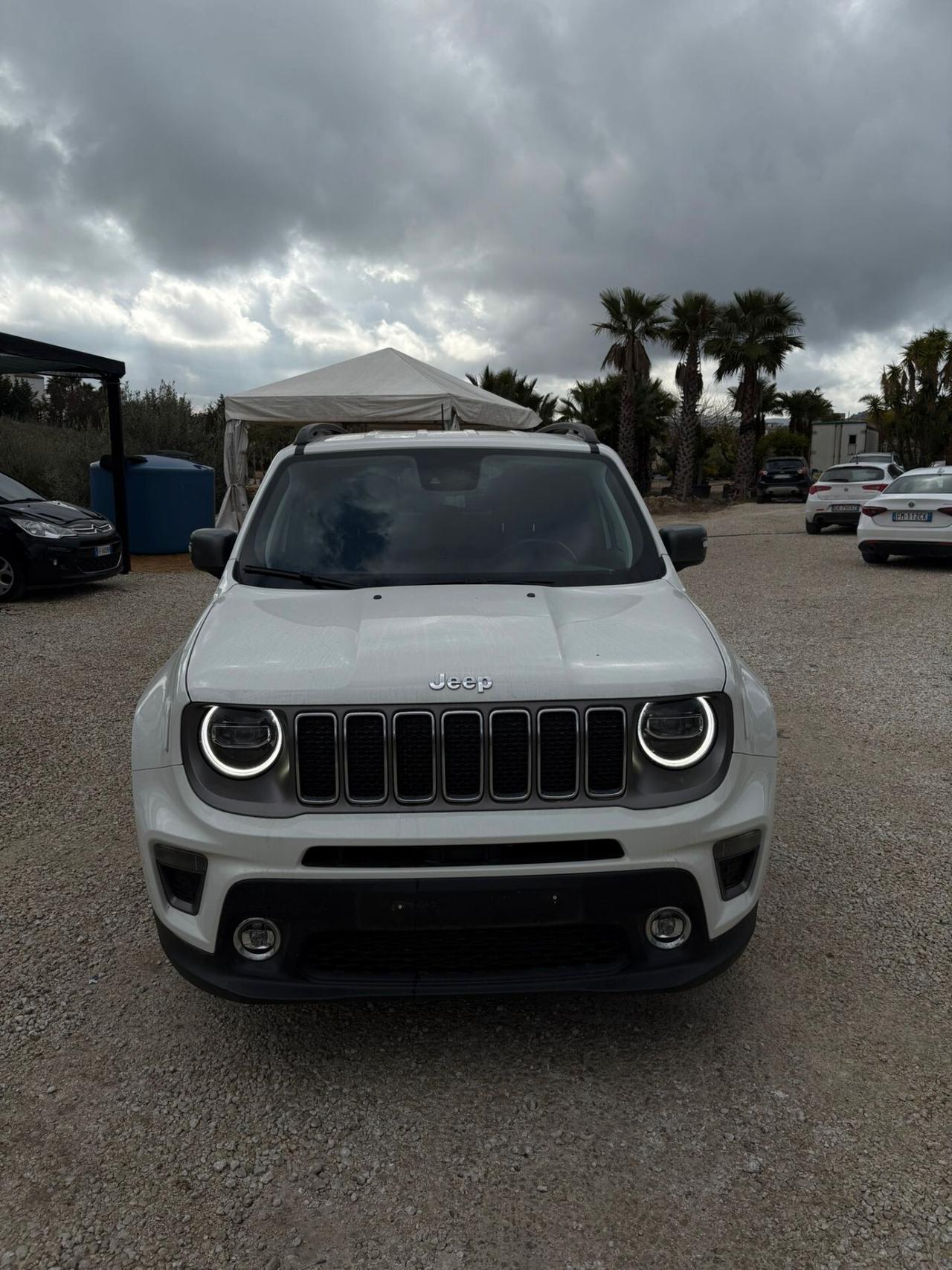 Jeep Renegade 1.6 Mjt 120 CV Sport