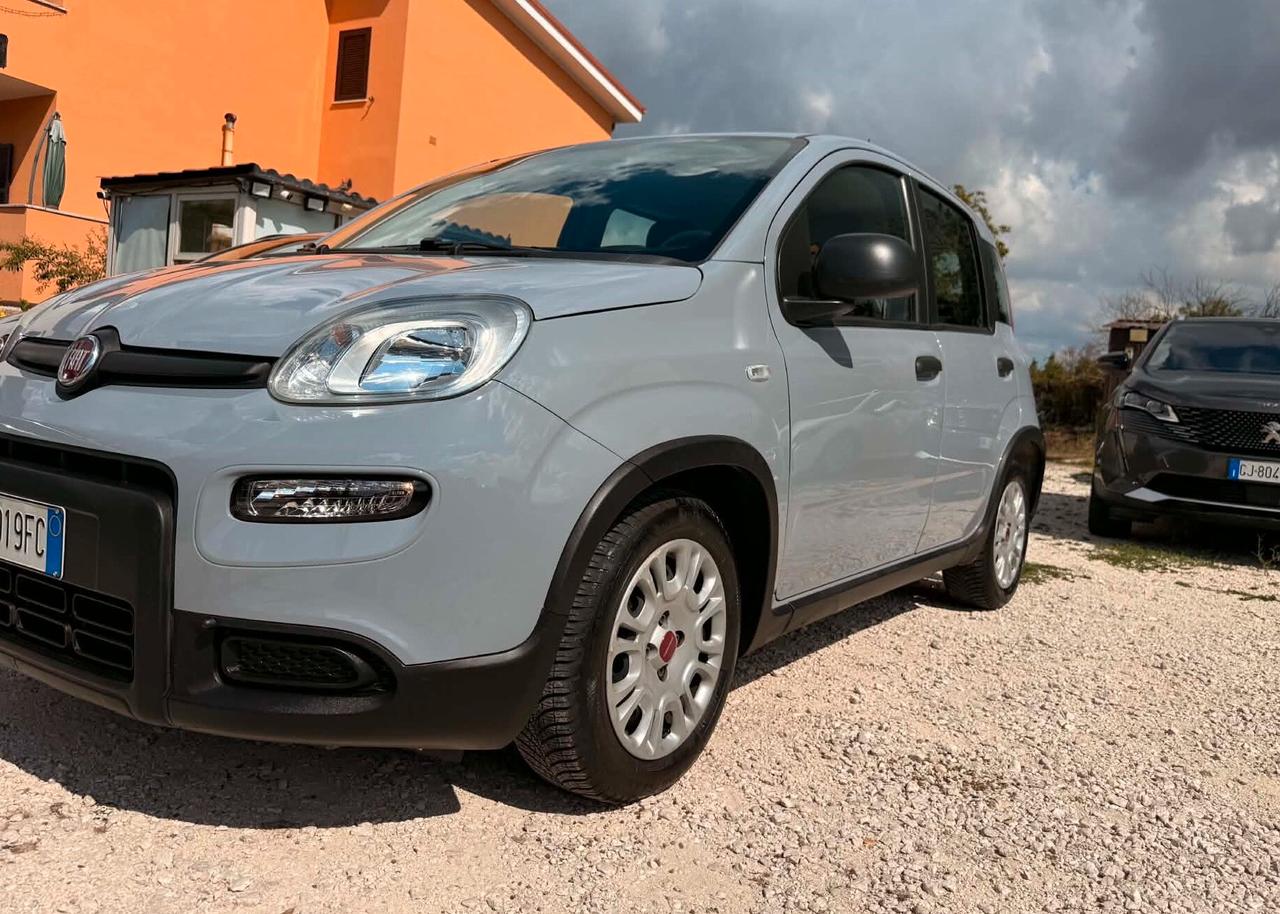 Fiat Panda 1.0 Hybrid City Life Ok Neop. No Vinco.