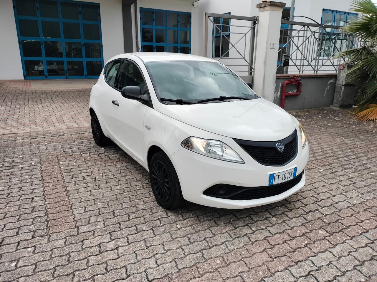 Lancia Ypsilon 1.2 69 CV 5 porte S&S Elefantino Blu