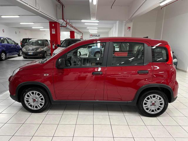 FIAT New Panda 1.0 Hybrid PROMO CAR SERENITY