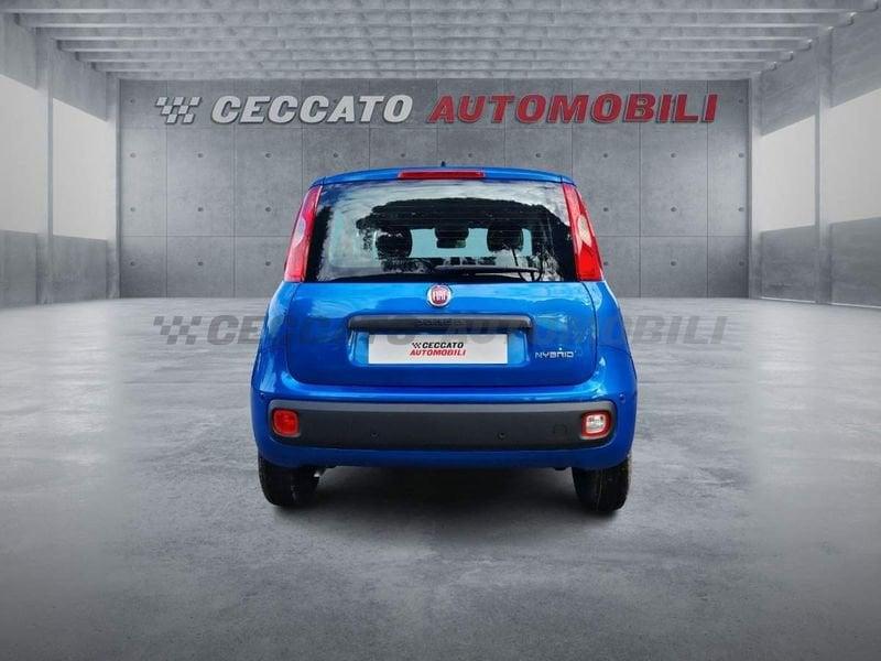 FIAT Panda Panda 1.0 firefly hybrid s&s 70cv