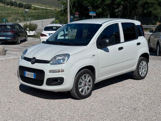 Fiat PANDA VAN METANO - PORTATA 385kg - 2019
