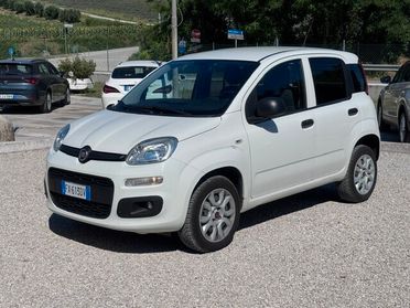 Fiat PANDA VAN METANO - PORTATA 385kg - 2019