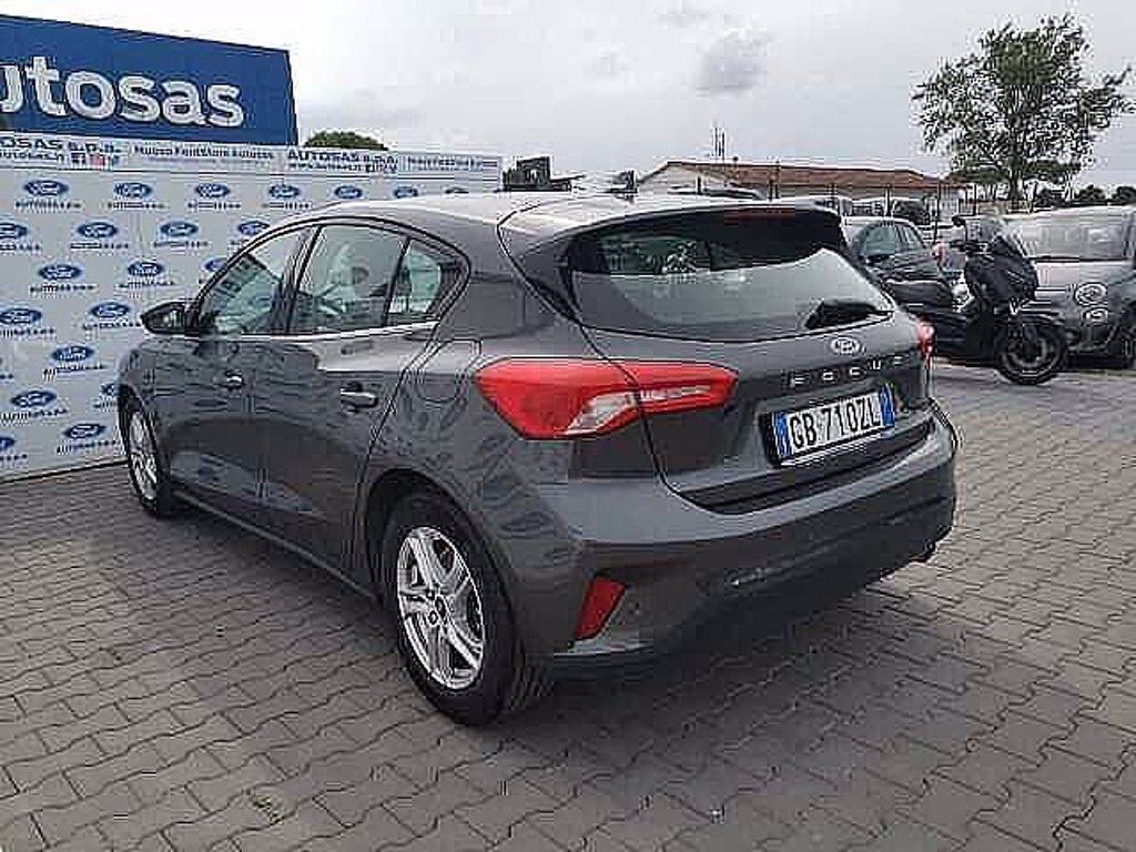 FORD Focus 1.5 EcoBlue 120 CV automatico 5p. Business Co-Pilot del 2020